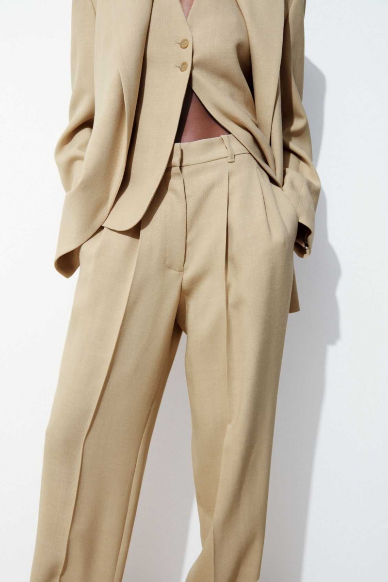 BEIGE COS THE PLEATED TAILORED PANTS | WXB-780165