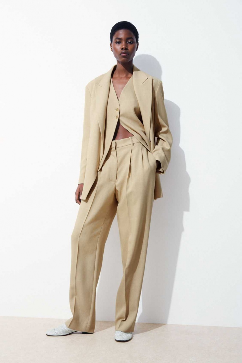 BEIGE COS THE PLEATED TAILORED PANTS | WXB-780165