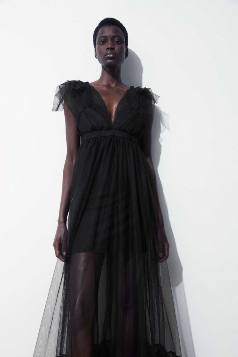 BLACK COS THE SHEER TULLE DRESS | EBJ-249175