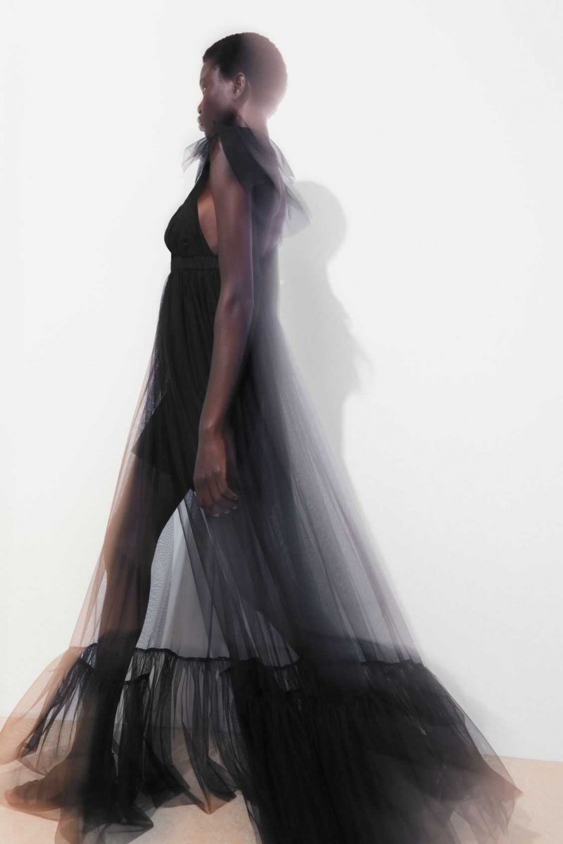 BLACK COS THE SHEER TULLE DRESS | EBJ-249175