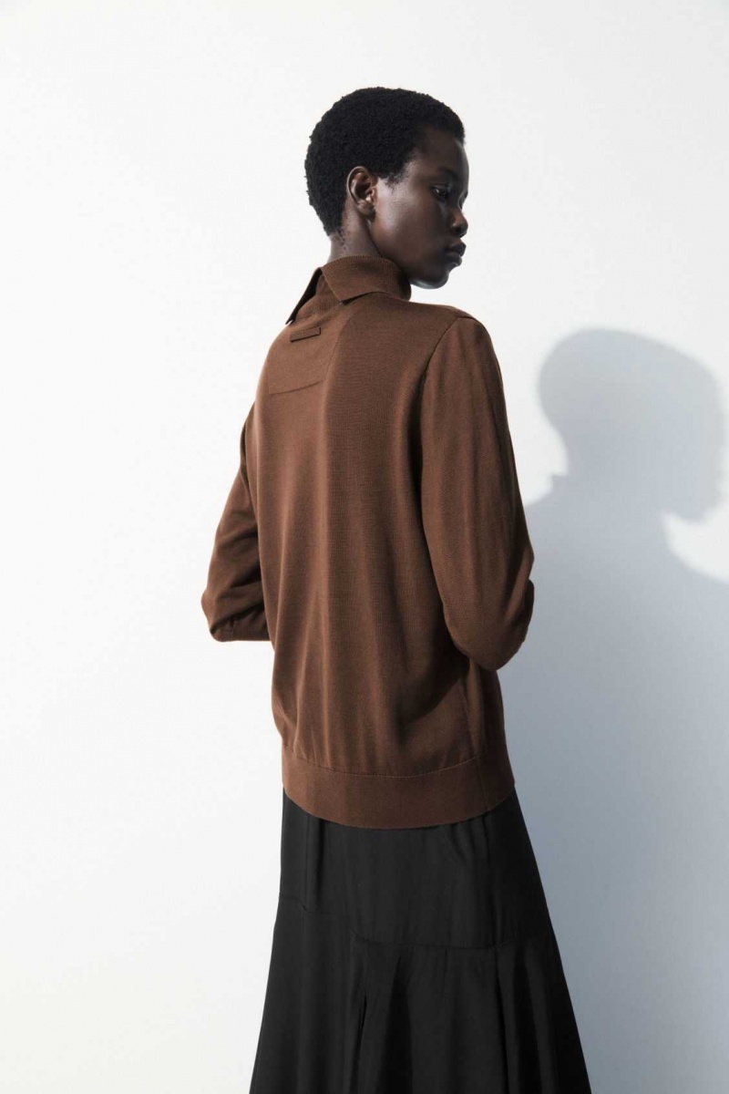 DARK BROWN COS THE WOOL ROLL-NECK JUMPER | VCW-475061