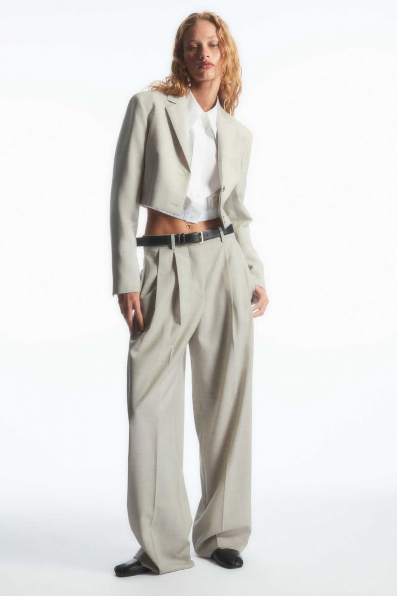 LIGHT BEIGE COS WIDE-LEG TAILORED WOOL PANTS | GCV-106837