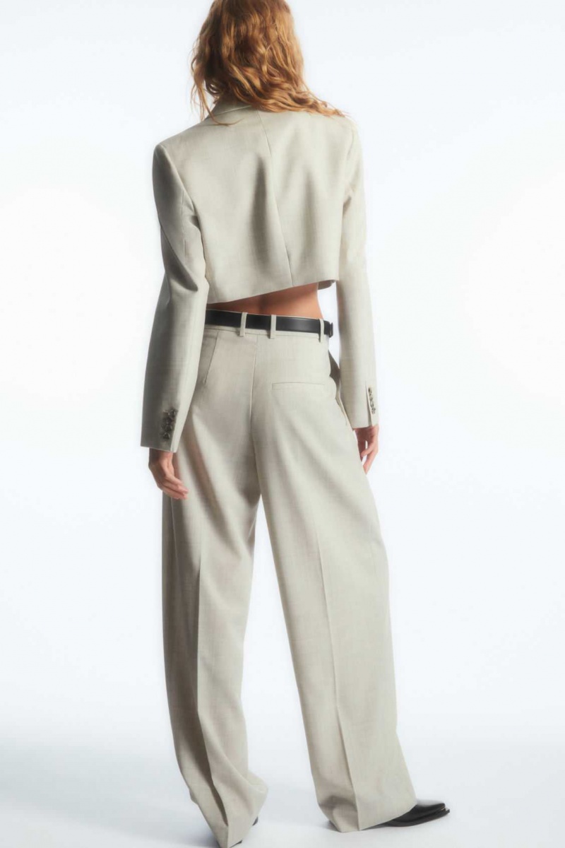 LIGHT BEIGE COS WIDE-LEG TAILORED WOOL PANTS | GCV-106837