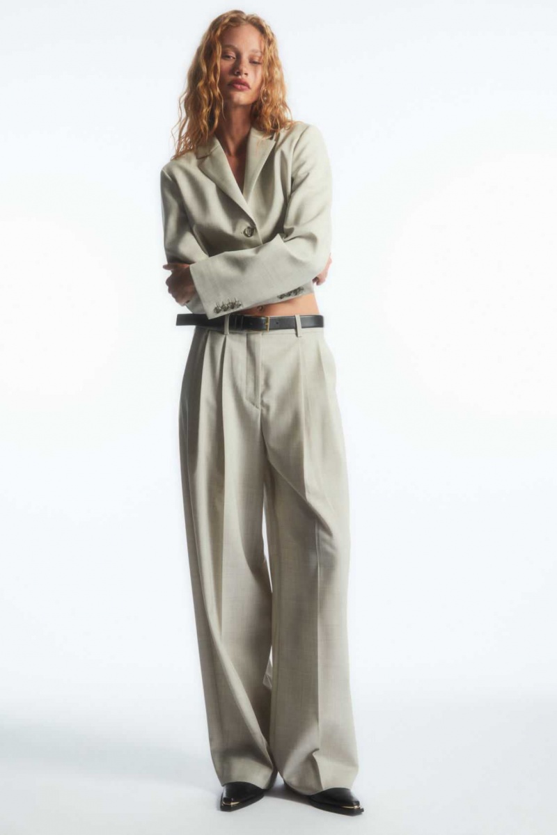 LIGHT BEIGE COS WIDE-LEG TAILORED WOOL PANTS | GCV-106837