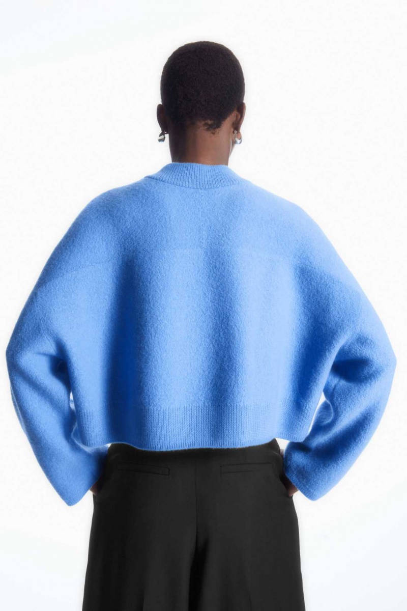 SKY BLUE COS CROPPED V-NECK WOOL SWEATER | BNF-194802